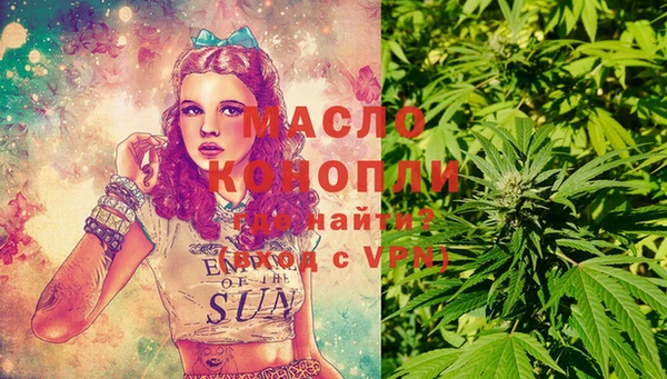 сатива Армянск