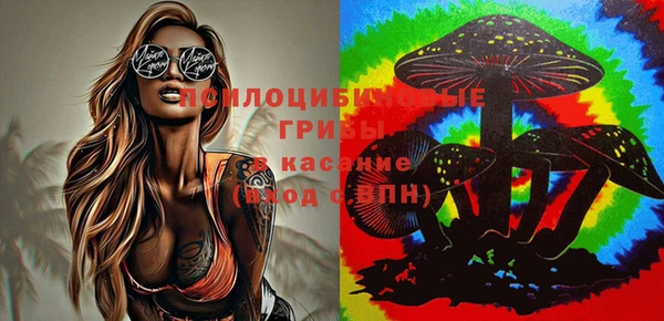соль курить ск Арсеньев