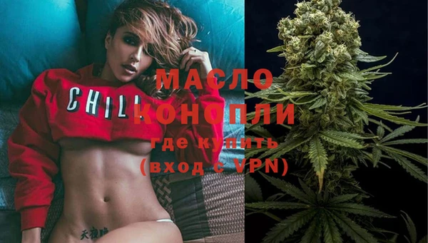 сатива Армянск
